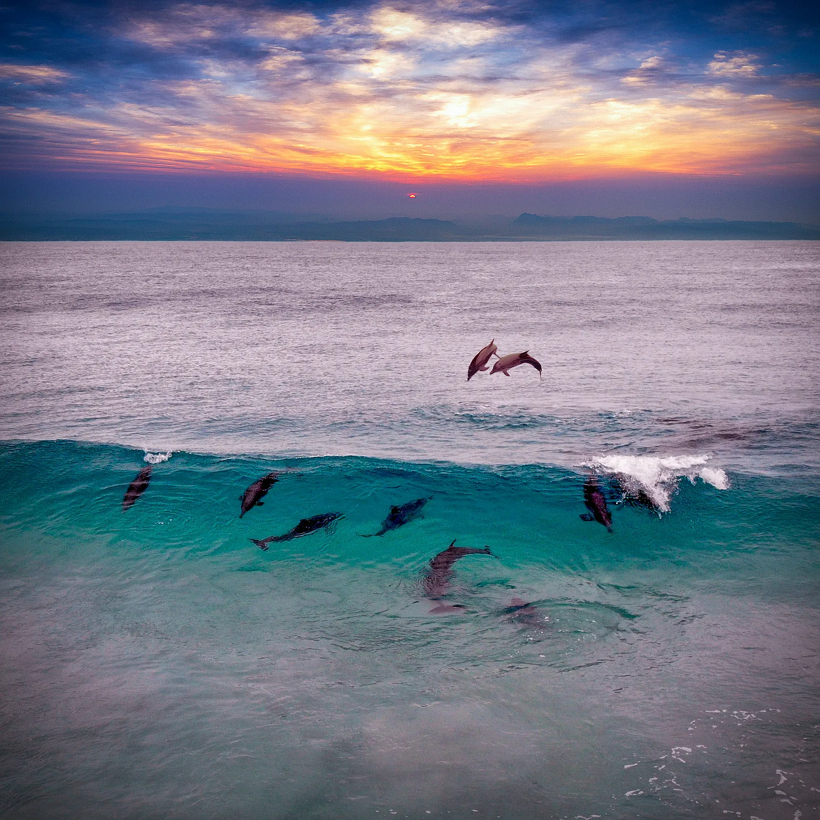 North Bali: Dolphins, Temples & Nature